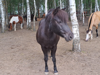 Similar image 21690366