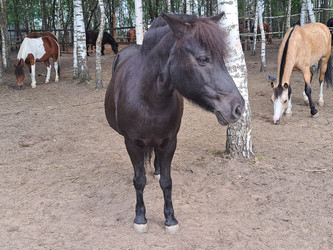 Similar image 21690367