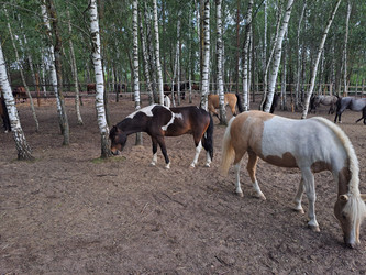 Similar image 21690368