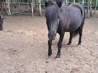 Similar image 21690369