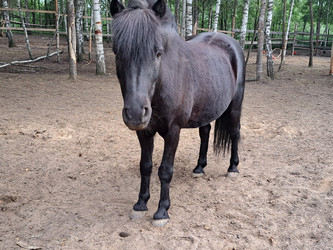 Similar image 21690370