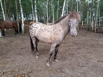 Similar image 21690371