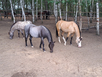 Similar image 21690372