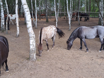 Similar image 21690374