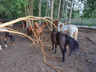 Similar image 21690375