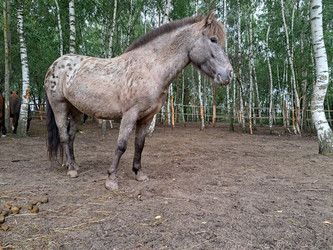 Similar image 21690376