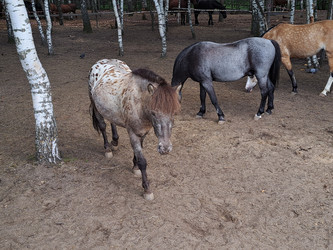 Similar image 21690377