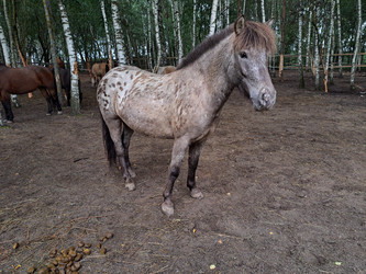 Similar image 21690378