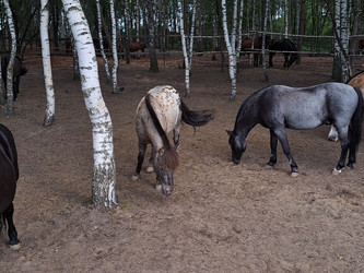 Similar image 21690379