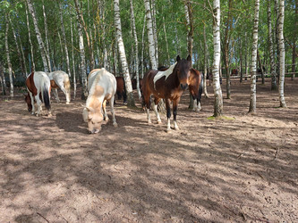 Similar image 21690380