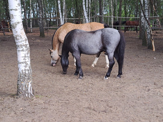 Similar image 21690382