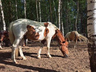 Similar image 21690384