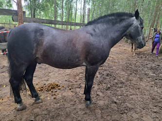 Similar image 21690385