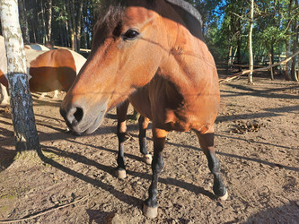 Similar image 21690386