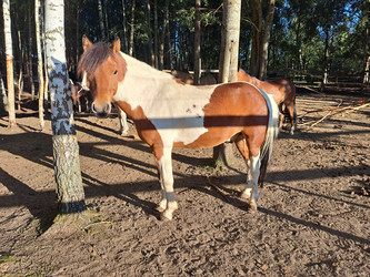 Similar image 21690387