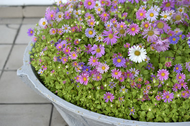 Similar image 21688977