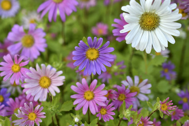 Similar image 21688979