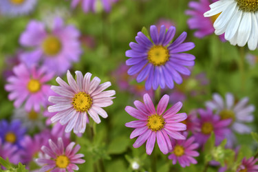 Similar image 21688982