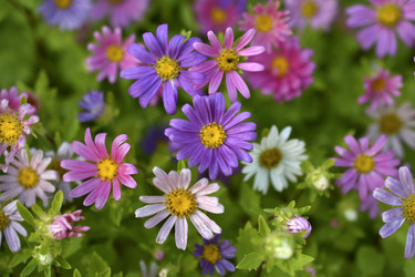 Similar image 21688983