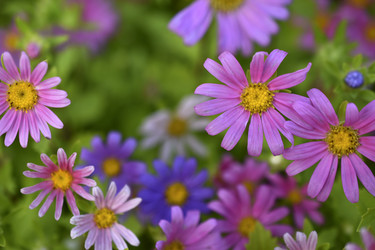 Similar image 21688984