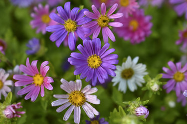 Similar image 21688985