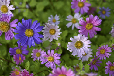 Similar image 21688986