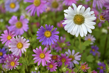 Similar image 21688987