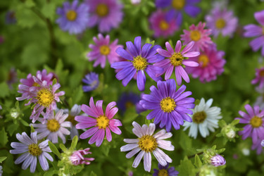 Similar image 21688988