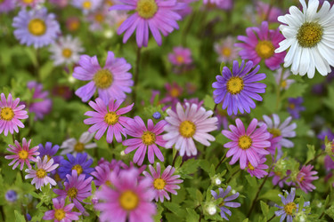 Similar image 21688989