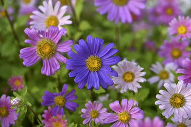 Similar image 21688990