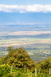 Similar image 21689925