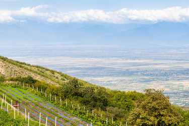 Similar image 21689928