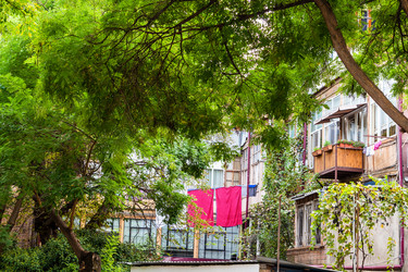 Similar image 21689955