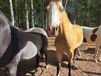 Similar image 21690388