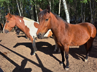 Similar image 21690390