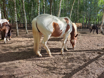 Similar image 21690392