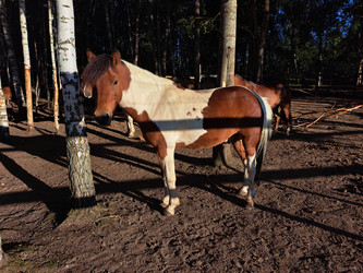 Similar image 21690393