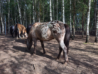 Similar image 21690394