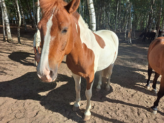 Similar image 21690395