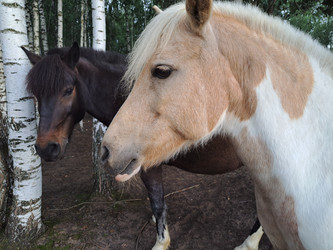 Similar image 21690396