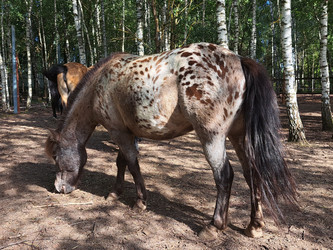 Similar image 21690397