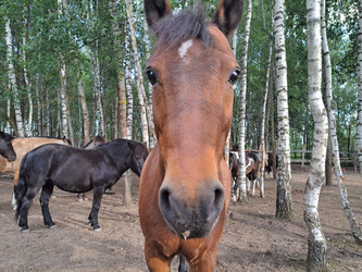 Similar image 21690398