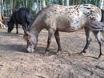 Similar image 21690399