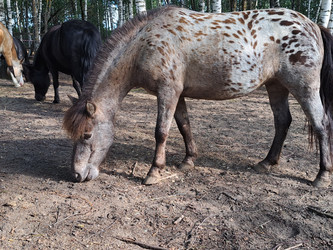 Similar image 21690400