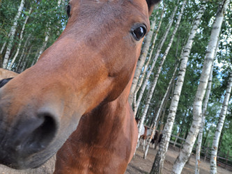 Similar image 21690402