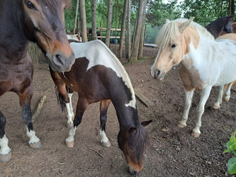 Similar image 21690403