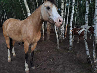 Similar image 21690404