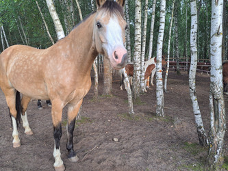 Similar image 21690405