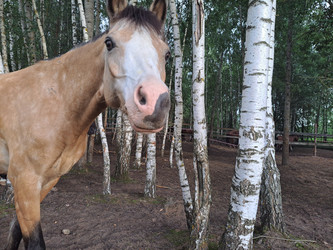 Similar image 21690406