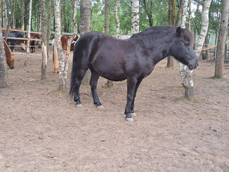 Similar image 21690407